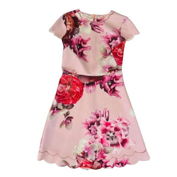 Ted Baker London Seena Splendour Mini Short Floral Pink Dress, Size 2 (US 6) - Picture 3 of 12